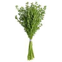 Thyme fresh sprigs arranged in a bouquet soft focus side view delicious details showcasing textures png