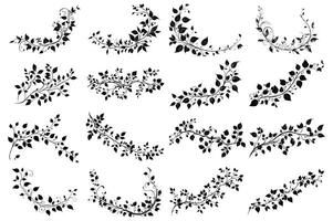 Collection of Decorative Vine and Leaf Patterns for Design Elements vector