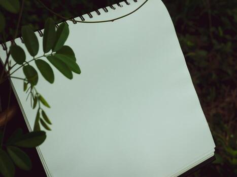 Notebook with leaves in the garden for copy space photo
