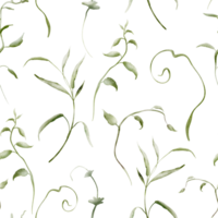 Herbal Watercolor seamless pattern. Backdrop herb are hand drawn on a white background. Simple ornament texture of twigs and green plant. Design of wrapping paper and textiles png