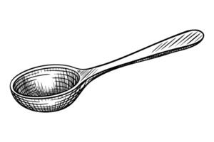 Wooden spoon illustration. Linear Drawing of kitchen utensil painted by black inks in etching style for cookery book design or product label. Monochrome engraving of spoonful for recipe. vector