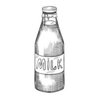 Milk bottle illustration. Linear drawing of dairy product painted by black inks. Outline etching for product label or recipe in cookery book. Monochrome line art of beverage for culinary. vector
