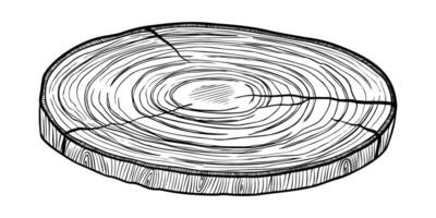 illustration with slice of wood. Linear drawing of cross section of tree with annual rings painted by black inks. Outline sketch of timber for eco design. Monochrome etching of cutting. vector