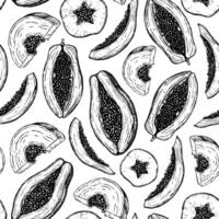 Seamless Pattern with Papaya slices. print with exotic tropical Fruit. Illustration of ornament on isolated background for textile design or food production label. Drawing in linear style. vector
