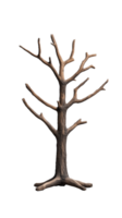 Leafless tree with branching structure isolated on a transparent background, symbolizing winter or autumn themes. png