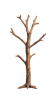 Simple bare tree with wide branches, isolated on a transparent background, perfect for nature and seasonal themes. png
