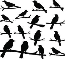 Flat design of Birds on branch silhouette vector