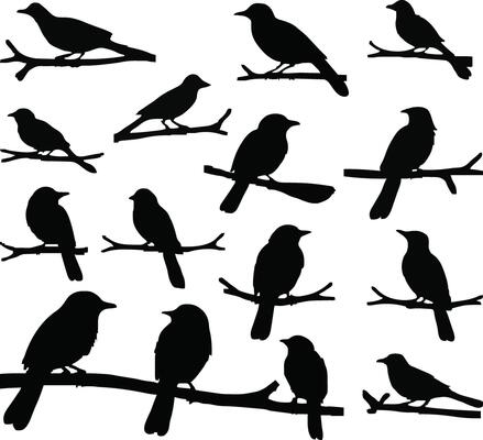 Flat design of Birds on branch silhouette