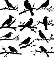 Unique Collection Of Birds on branch silhouette vector