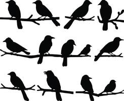 Elegant set of Birds on branch silhouette vector
