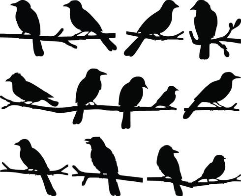 Elegant set of Birds on branch silhouette