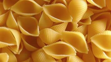 Uncooked Conchiglie Pasta. A Culinary Canvas of Conchiglie Macaroni, Creating a Lively and Textured Background for Gourmet Cooking - Rotating. Turning Dry Pasta. Raw Macaroni - Rotation video