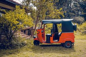 A tuk-tuk parked in a forest photo
