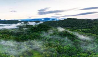 A view of the mountains with clouds and trees photo