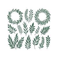 Set of green leaves and wreaths on white background vector