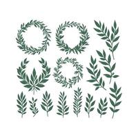 Various green leaves and wreaths on a white background vector
