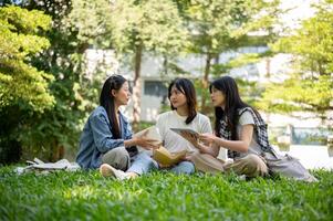 A group of college students sits on the grass in their college campus park, having a conversation. photo