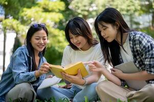 A group of college students sits on the grass in their college campus park, having a conversation. photo