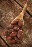Cocoa beans on a wooden spoon photo
