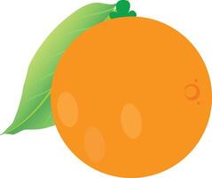 orange fruit for good health vector