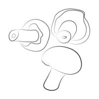 Hand drawn sketch of mushrooms on white background, flat style, isolate on white vector