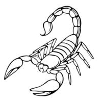 Scorpion linear illustration sketch for tattoo outline hand drawn graphic vector