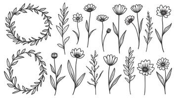 Elegant floral collection featuring various flowers and branches, ideal for creating botanical art and wedding invitation templates. vector