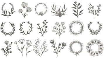 Set of different flowers, brunch and frames from flat editable stroke. Luxury line floral collection for wedding invitation art, design template. Botanical vector