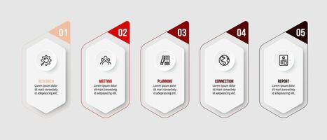 5 steps infographic template. vector