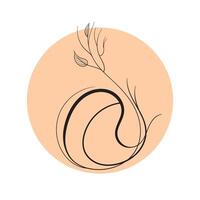 boho floral with circle background. illustration vector