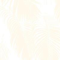 Coconut palm leaf on white background. pattern. vector