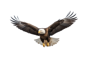 An eagle is flying in the air with its wings spread png