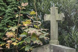 Stone cross standing on a tombstone in a cemetery surrounded by plants photo