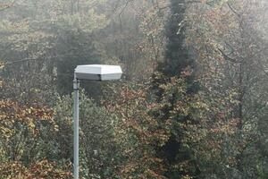 Street lamp illuminating foggy autumn forest photo