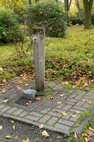 Drinking water faucet in city park during autumn season photo