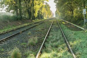 Railway tracks disappearing into the distance on sunny autumn day photo