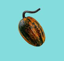 Pumpkin isolated on color background. photo