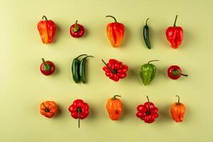 Colorful peper on green background photo