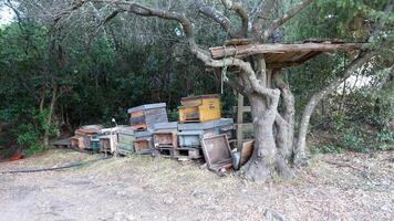 Olbia, Italy, July 21 2021. Old disused hives set aside under a tree on the hills. photo
