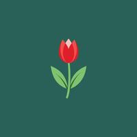Hand drawn set of side view red, pink open and closed tulip flower, sketch style illustration isolated on background vector