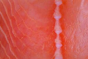 Red salmon fish as background macro photo. photo