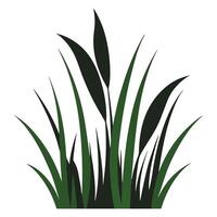 a grassy plant with leaves on a white background vector