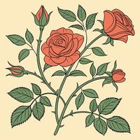 a drawing of roses on a yellow background vector