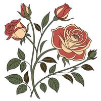 a drawing of roses with leaves and stems vector