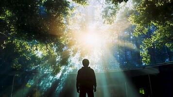 aumentado retrato de un hombre mirando espalda a naturaleza en un futurista mundo, capturar un visión de contemplación y armonía con el ambiente, ideal para eco-consciente y futurista temas video