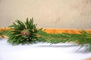 An evergreen branch with pine cones placed on a wooden surface, showcasing nature's beauty in a simple setting photo