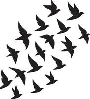 Beautiful Image of Birds in Flight Formation vector