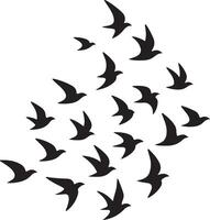 Flock of Birds Flying Together Image vector