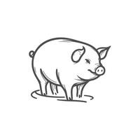 Elegant Pig Line Art Design vector