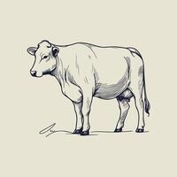 Chic Cow Line Art Design vector